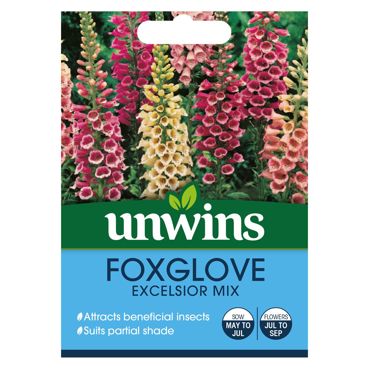 5051618010825 1 Foxglove Excelsior Mixed Seeds.jpg